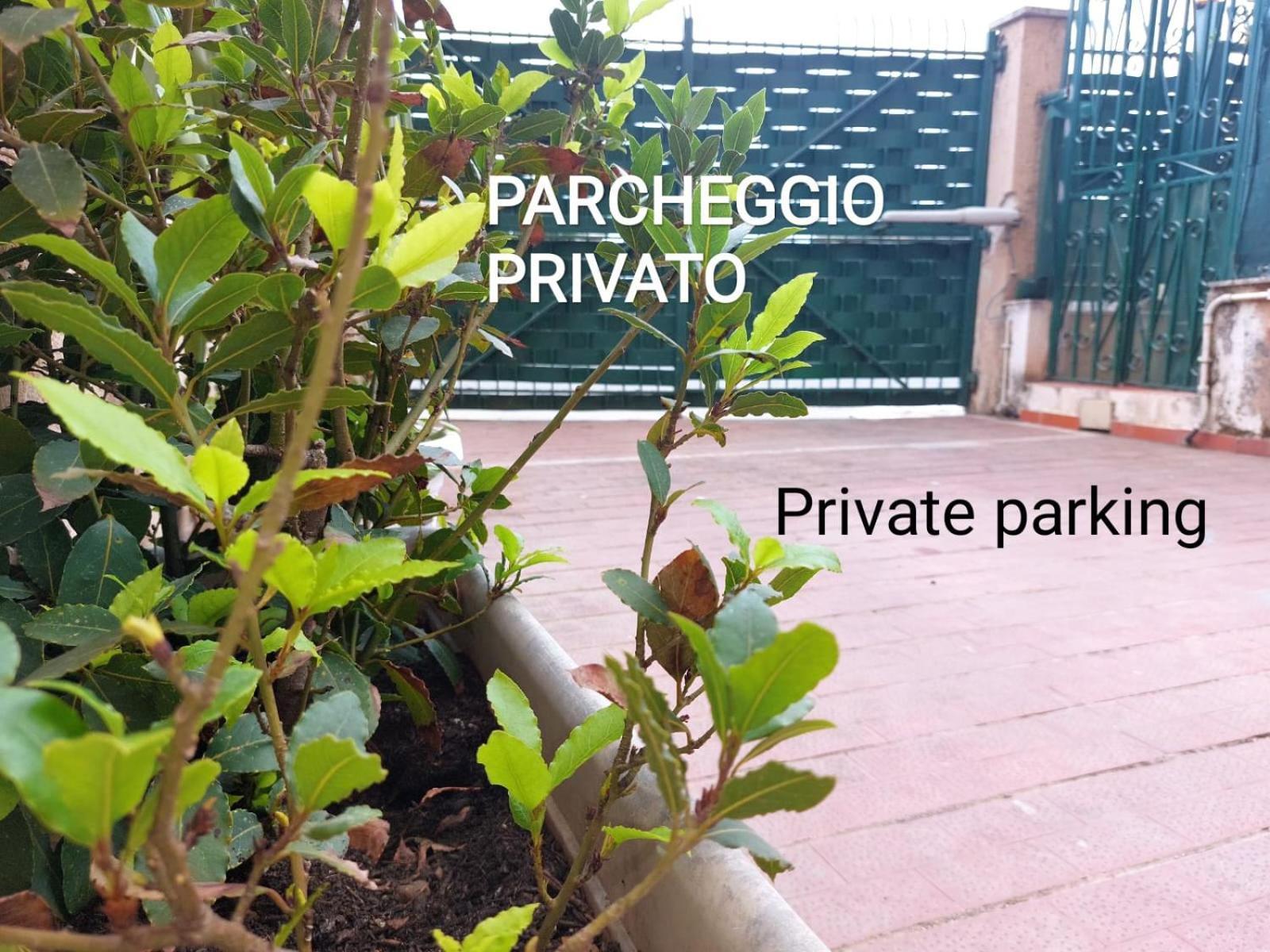 巴勒莫Art And Garden公寓 外观 照片